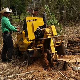 Stump Grinding
